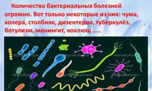 Agenti patogeni: principalele tipuri si metode de transmitere a agentilor infectiosi