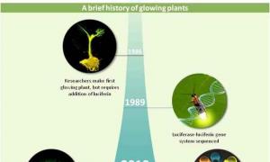 В MIT создали светящиеся растения: экологическое освещение будущего